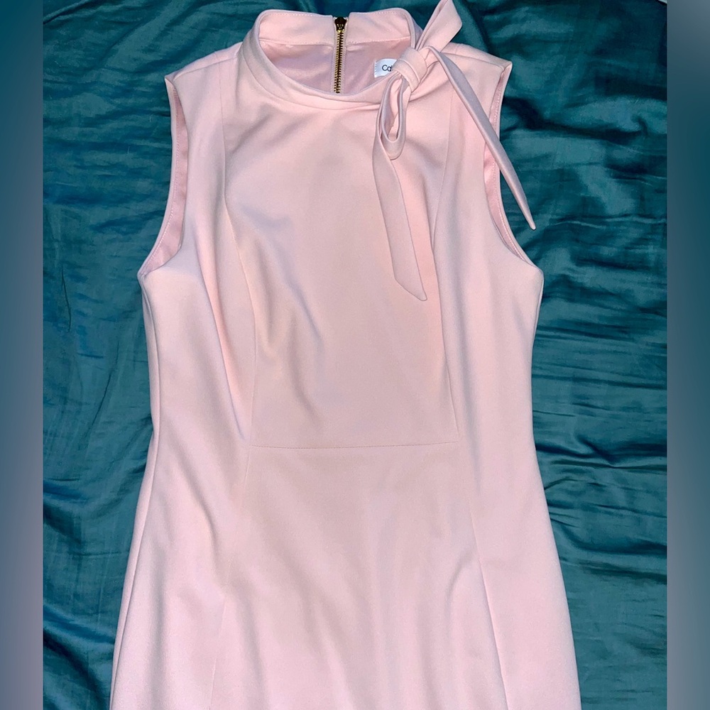 Light Pink Sleeveless Calvin Klein Dress - Size 8